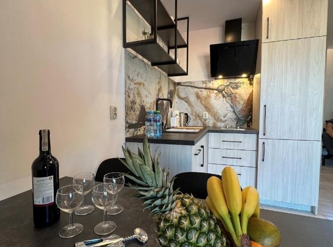 Domki i Apartamenty Całoroczne Koliber 