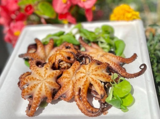 Pikling Wędzarnia Smażalnia Ryb